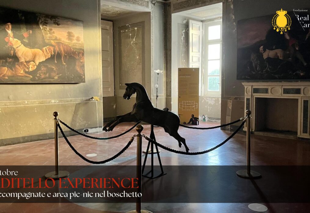 Carditello Experience