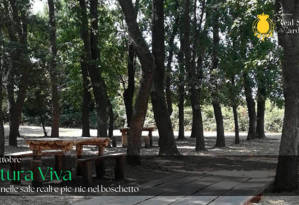 Natura Viva
