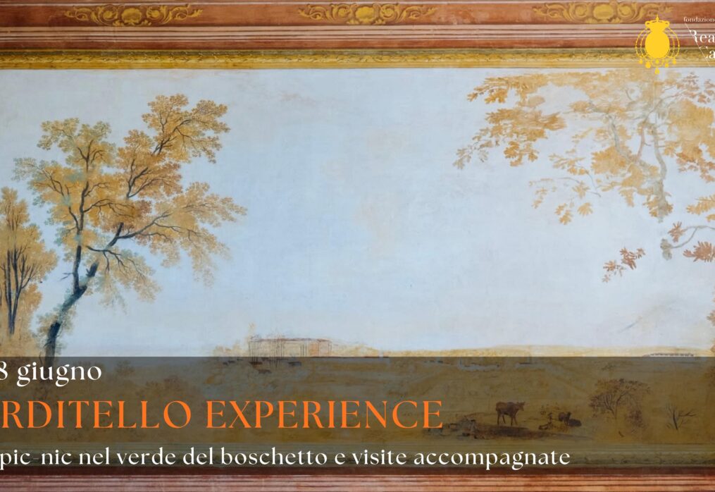 CARDITELLO EXPERIENCE